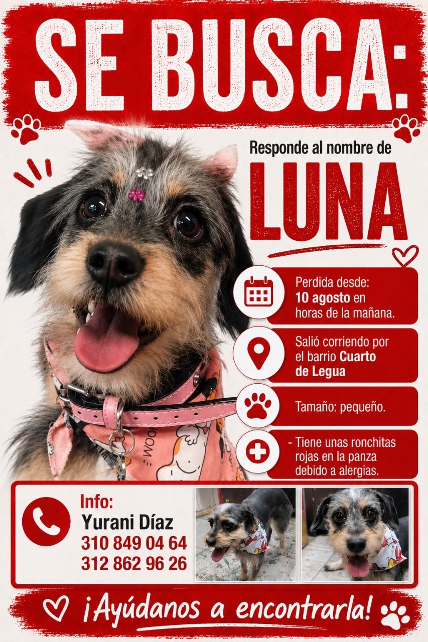 Foto 1 de Luna