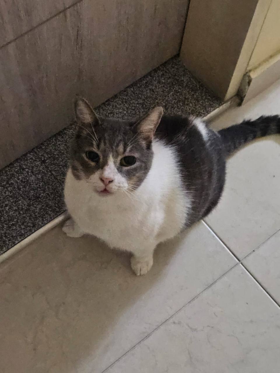 Foto 2 de Juan