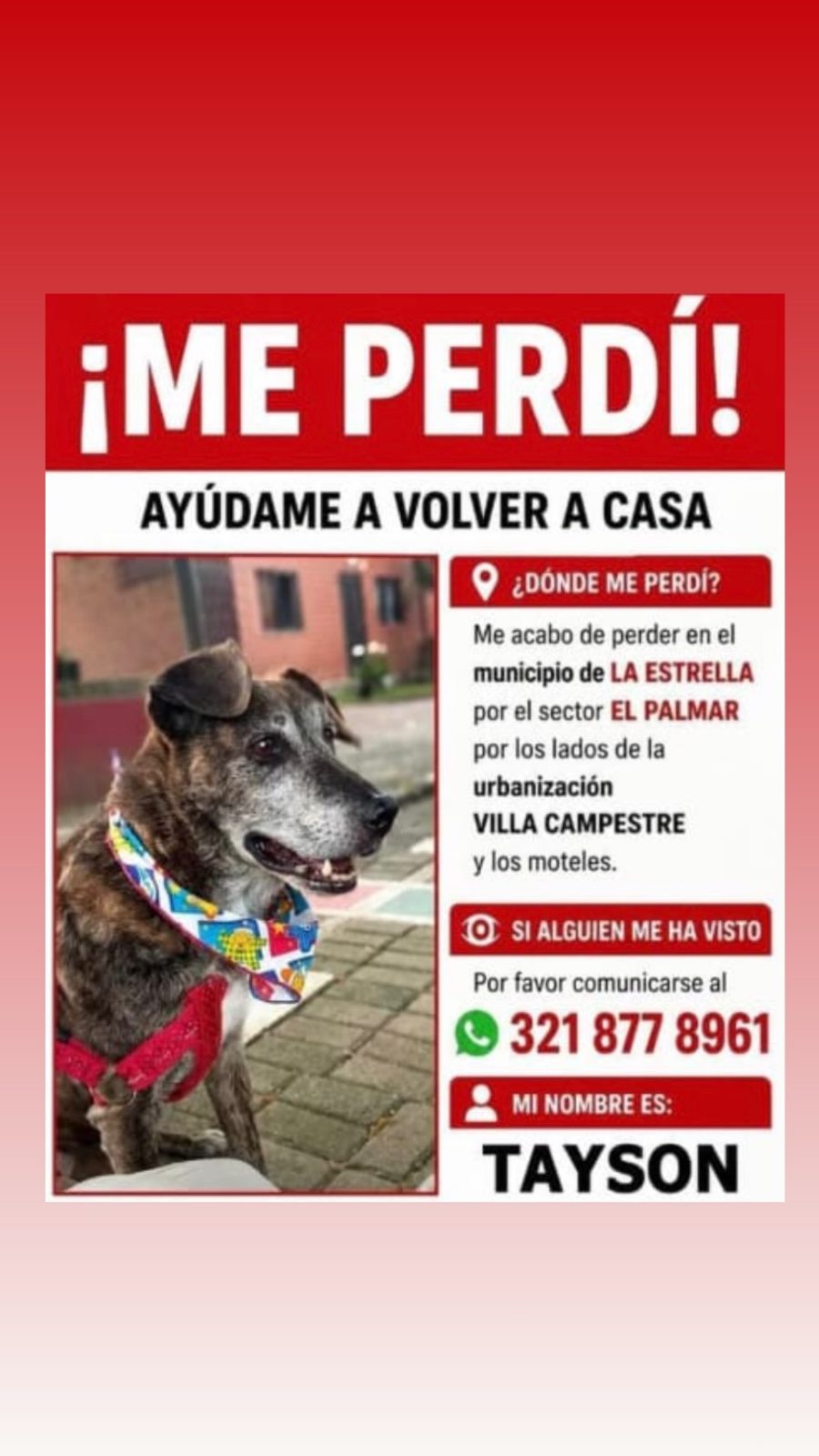 Foto 1 de TAYSON