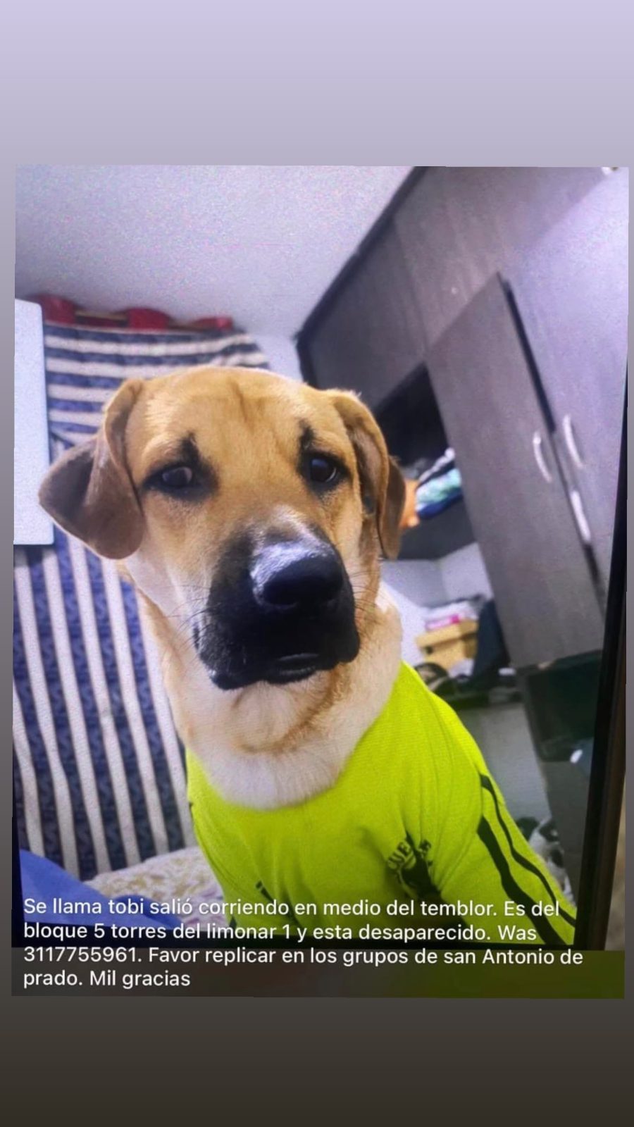 Foto 1 de Tobi