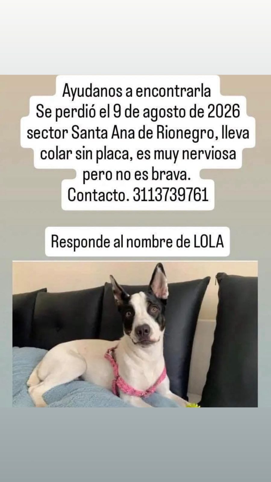 Foto 1 de Lola
