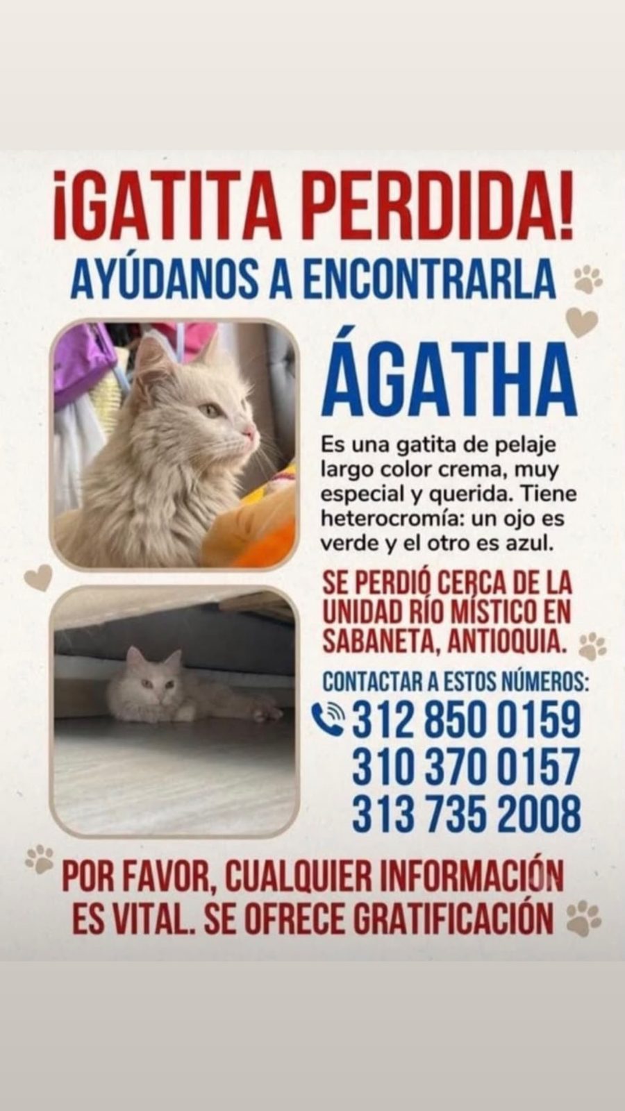 Foto 1 de Ágatha