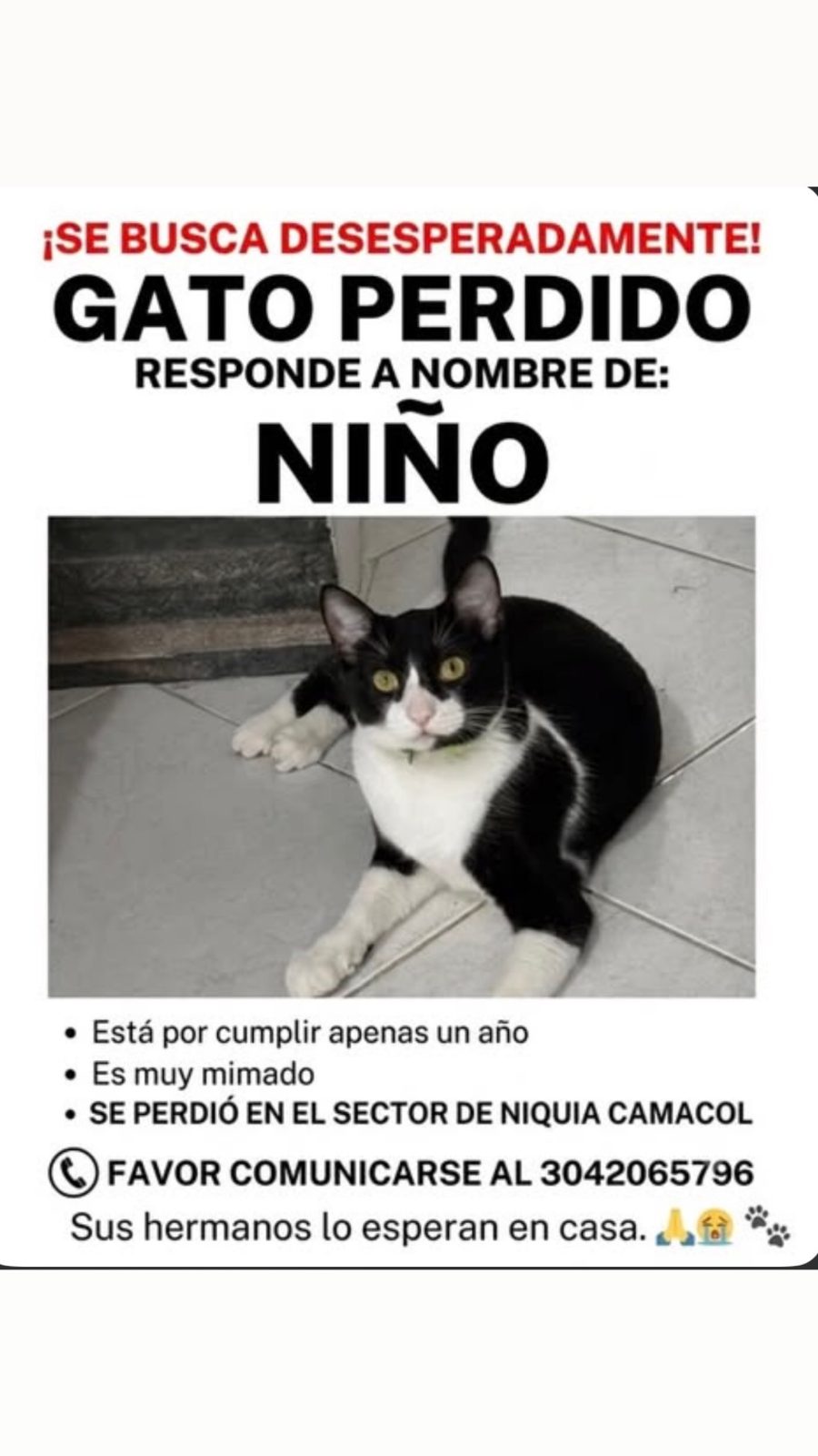 Foto 1 de Niño