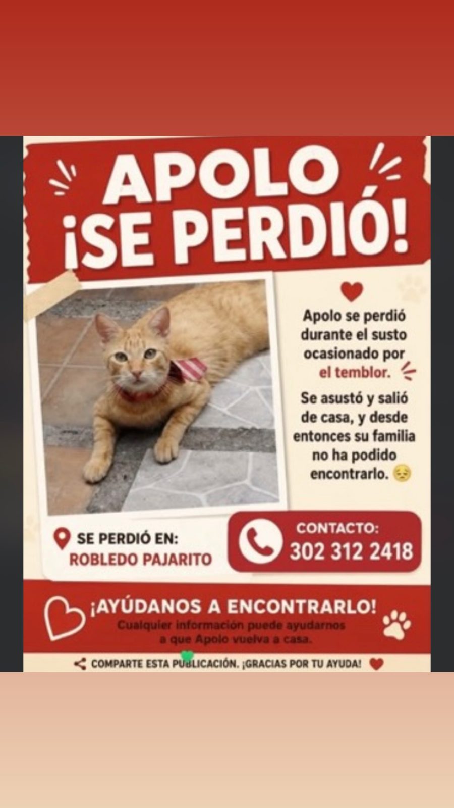 Foto 1 de Apolo