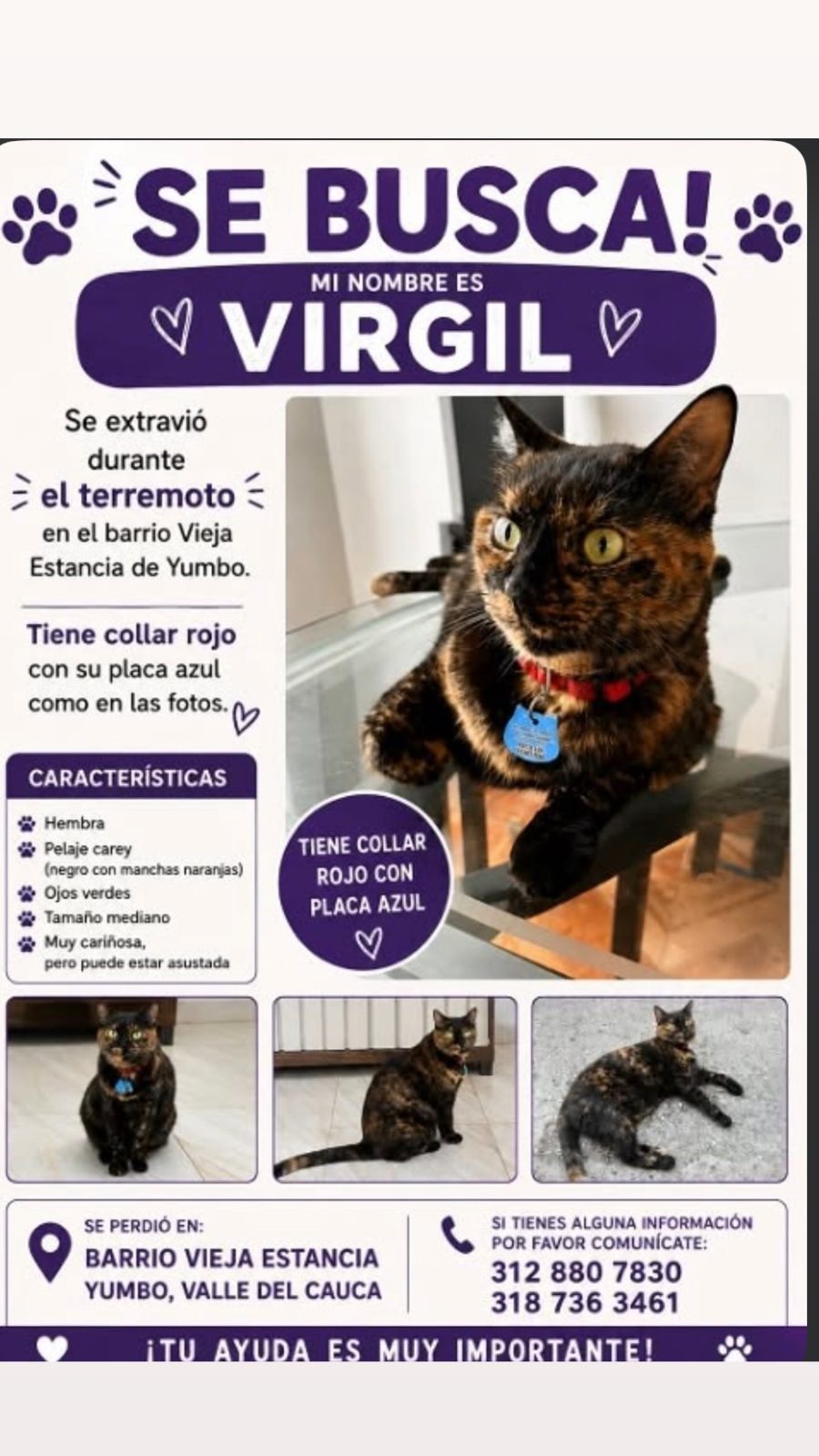 Foto 1 de Virgil