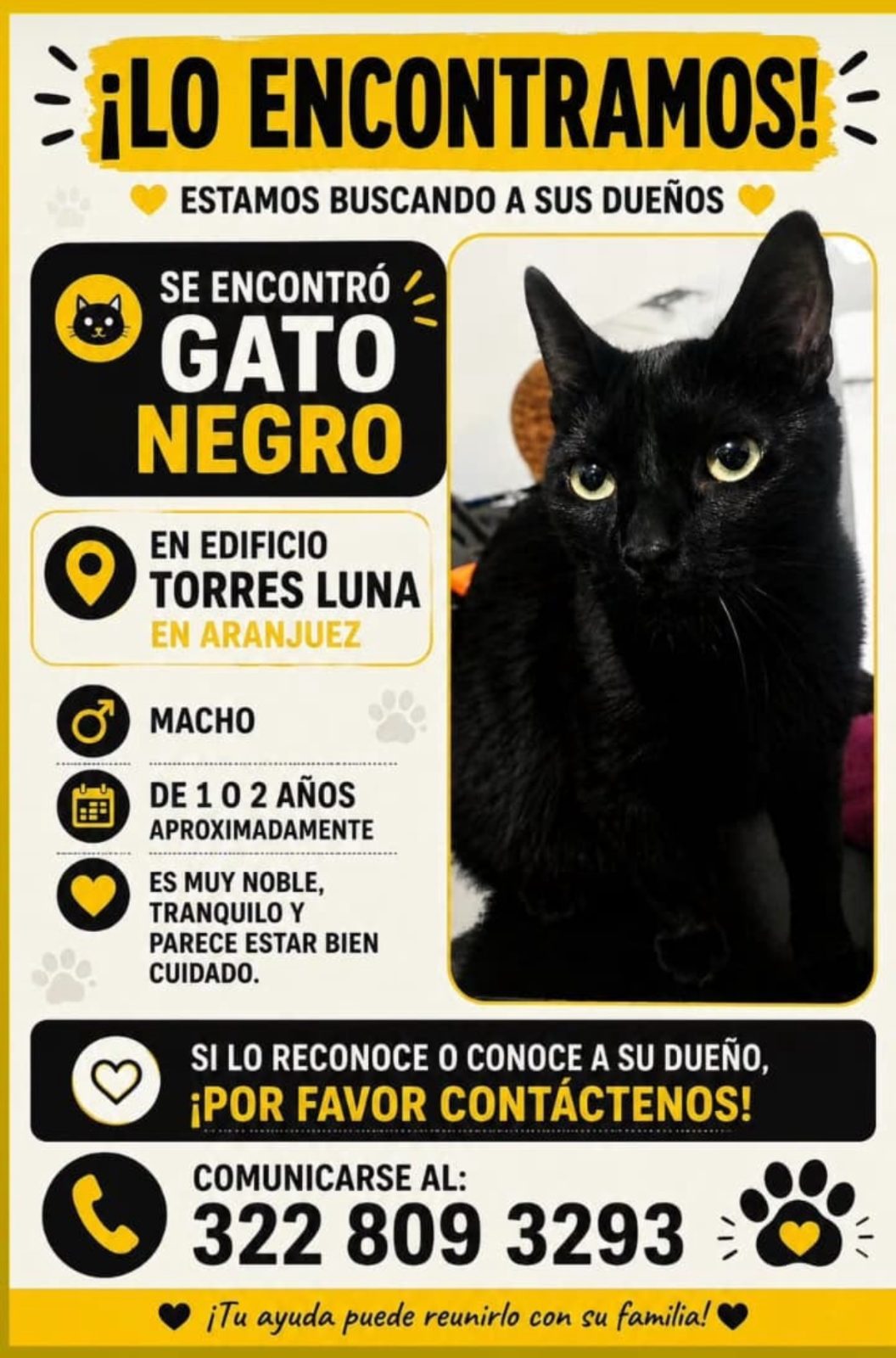 Foto 1 de Gato sin nombre
