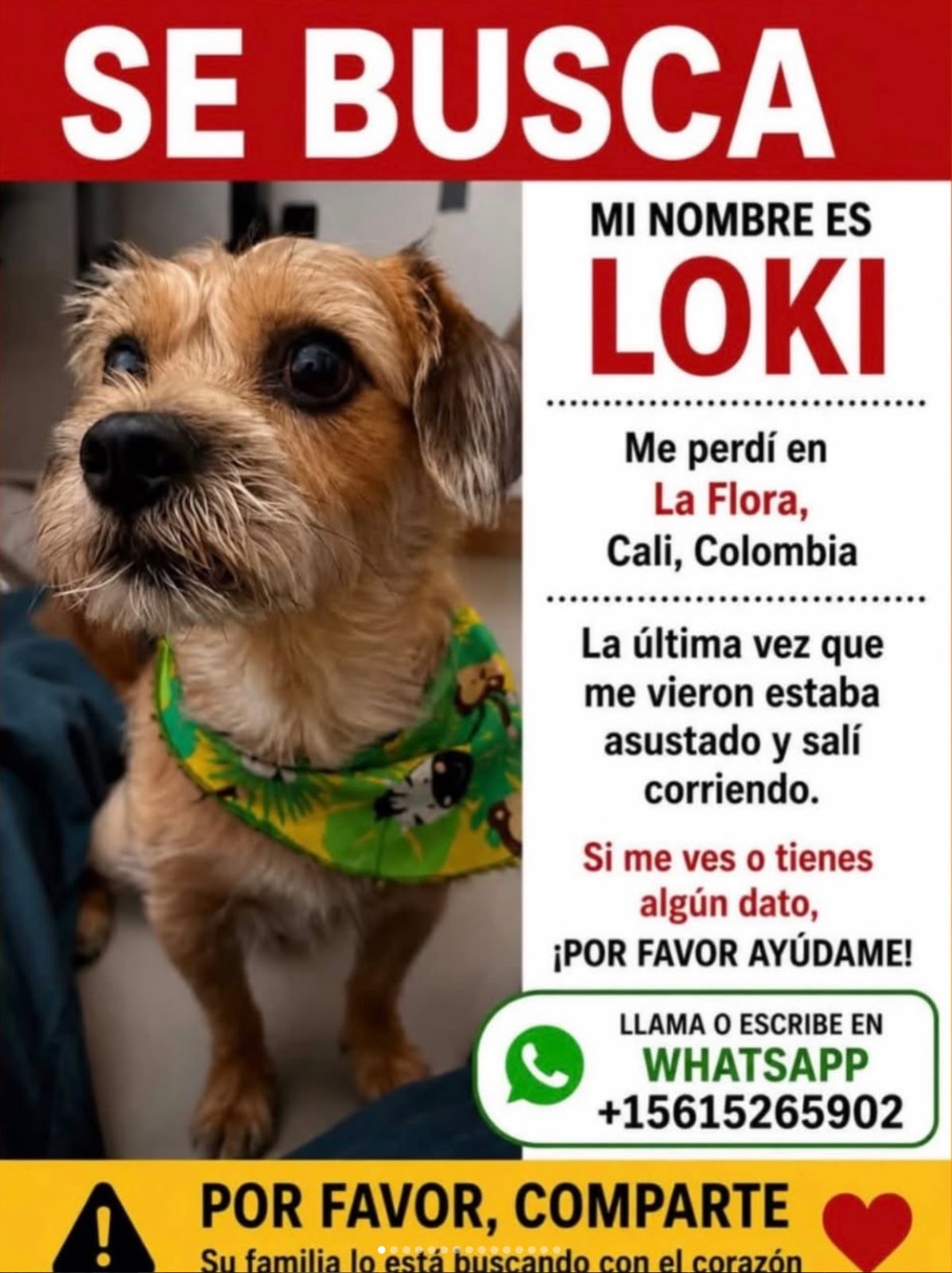 Foto 1 de Loki