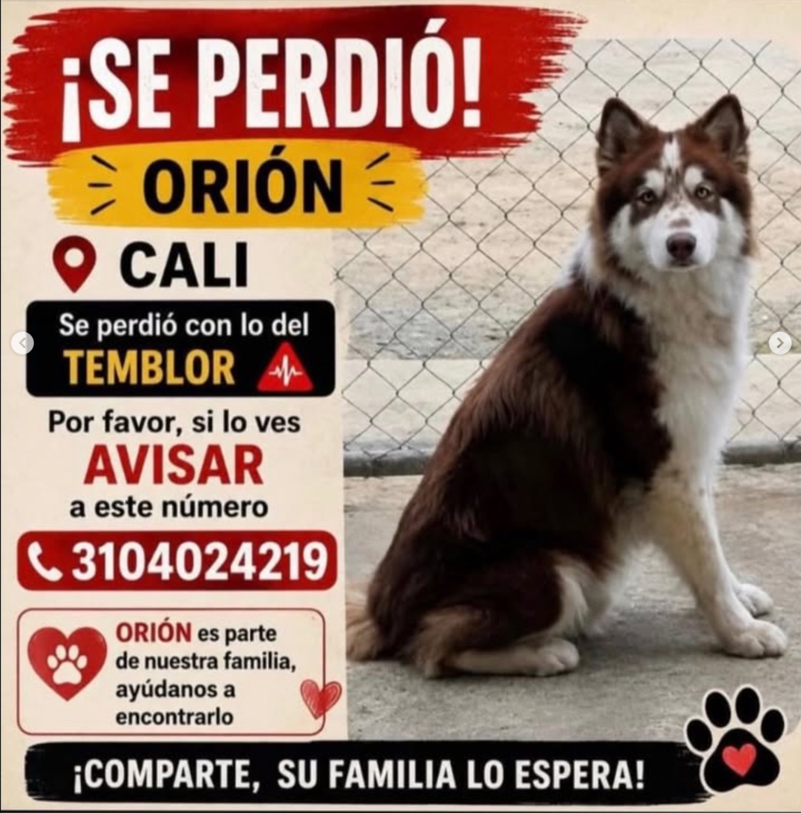 Foto 1 de Orión