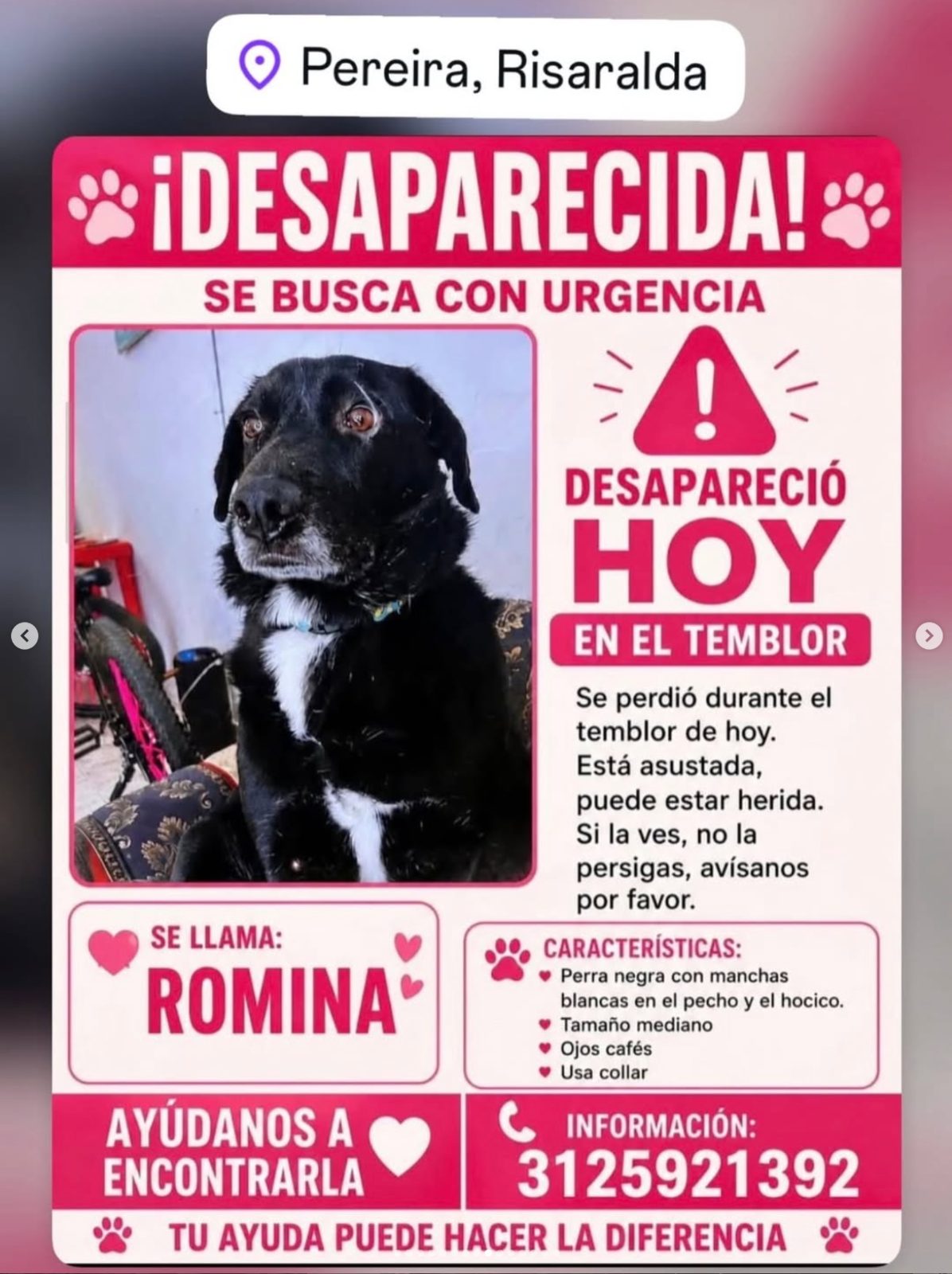 Foto 1 de Romina