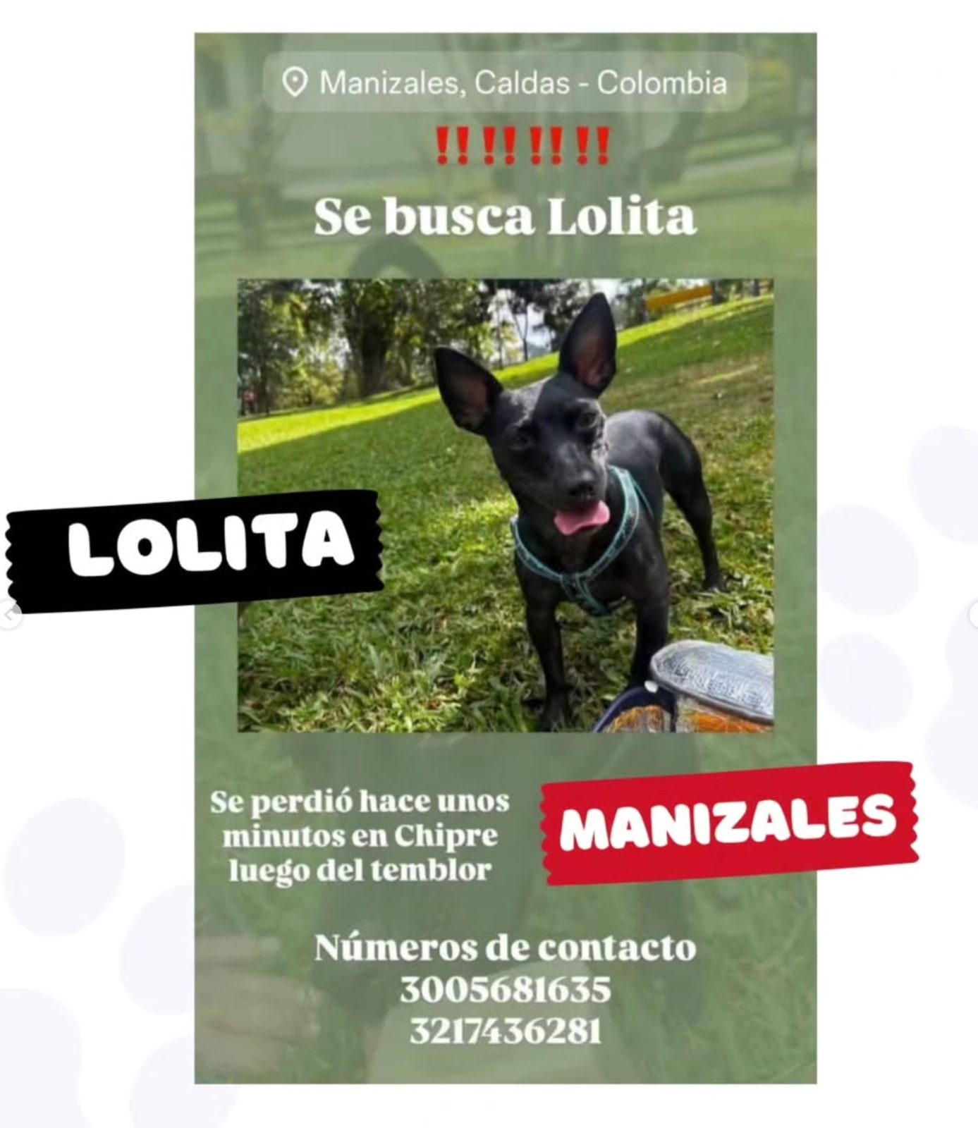 Foto 1 de Lolita