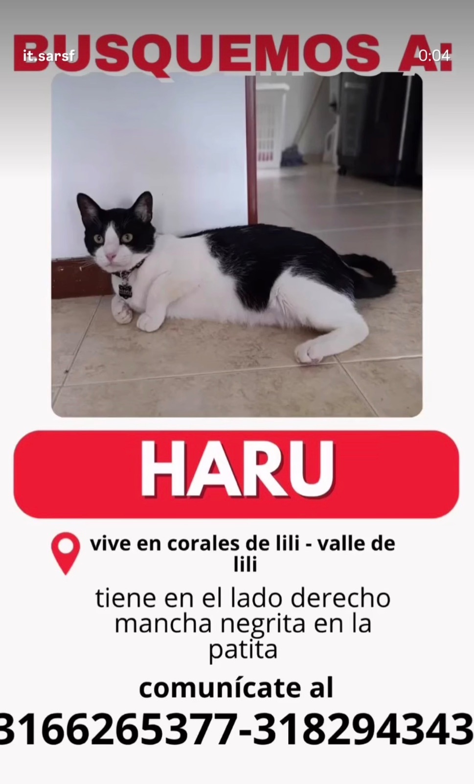 Foto 1 de HARU