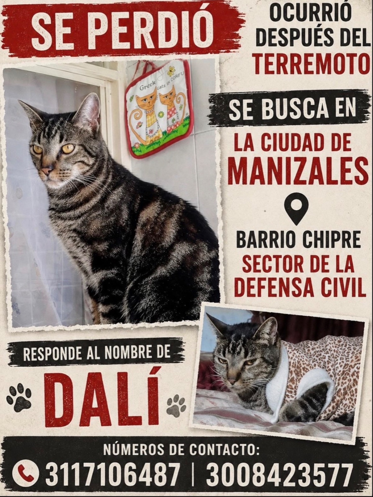 Foto 1 de Dalí