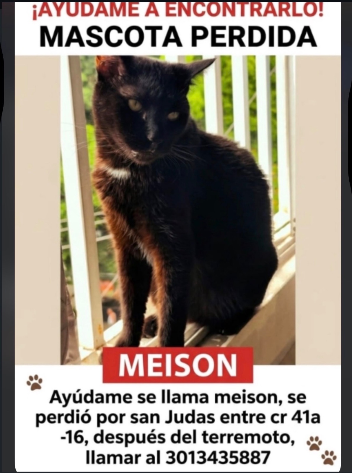 Foto 1 de Meison